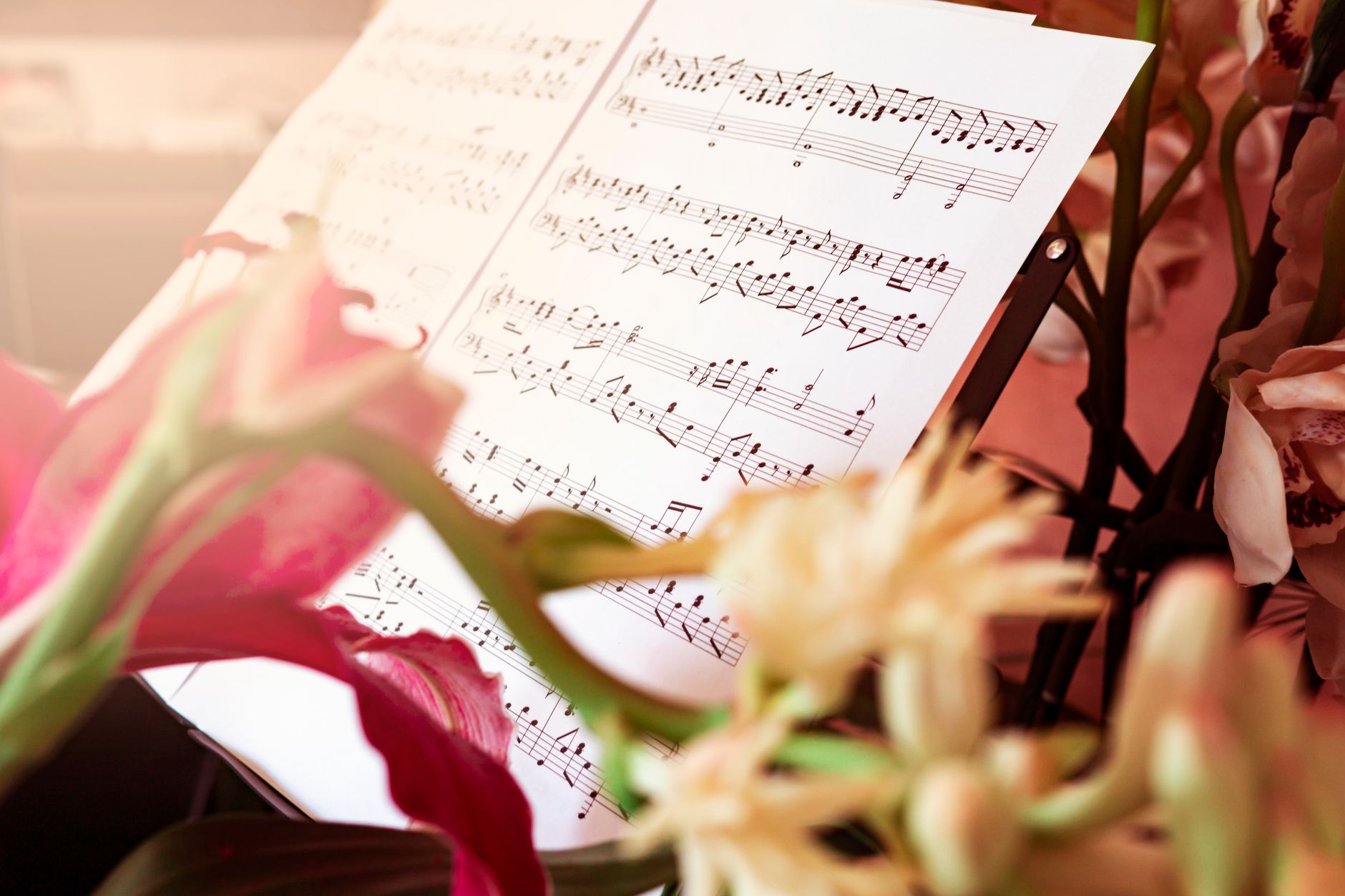 Quels secrets se cachent derrière la musique des téléfilms : rencontre avec des compositeurs talentueux ?